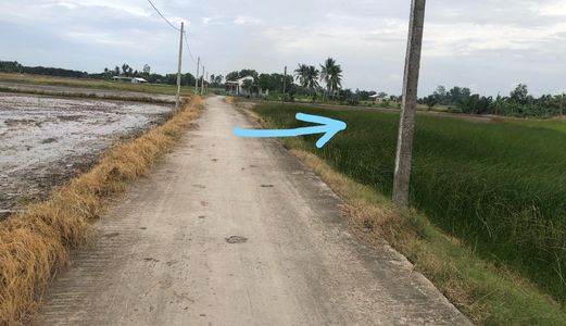 Bán Gấp 1000 M2 Đất Tại Ấp 1 Xã Lạc Tấn, Tân Trụ, Long An (1,15 Tỷ)