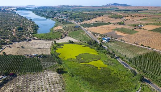 Sở Hữu Ngay Lô Đất Rộng Hơn 10.000M2 Chỉ Với  50.000Đ/m2 