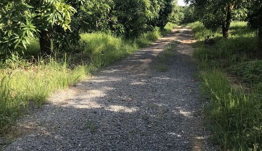 Bán Gấp Lô Đất Vườn Nằm Mặt Tiền Gần Kcn Định Quán 