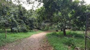 Bán Gấp Lô Đất Vườn Nằm Mặt Tiền Gần Kcn Định Quán 