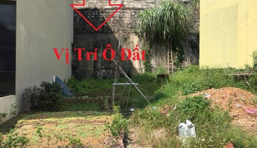 Bán Đất Ngõ 5 Bãi Muối,p.cao Thắng. Dt:55M2,mt:4.5M.h: Tây Nam 9Xx Triệu