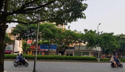 Vip, Hiếm, Đẹp Nhất Mp Nguyễn Văn Cừ, 120M, Mt 8M Nhỉnh 31 Tỷ