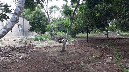 Cần Bán 315M2 Đất Tp Long Khánh, Chỉ 620 Triệu, Sag Tên Ngay