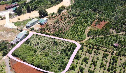 Mở Bán Lô Đất 2 Mặt Tiền, Giá 1 Tỷ 6, 60X37M Ở Tp.bảo Lộc, Lâm Đồng