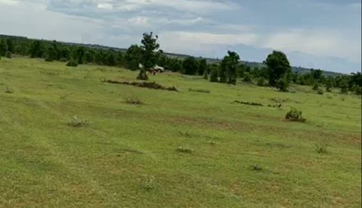 Chỉ 65 Ngàn Đ/m2 Lô Đất Nông Nghiệp 2 Mặt Tiền Đường Đất Sát Ngã 4 Đường Lớn Liên Huyện. Sổ Đỏ Có Sẵn