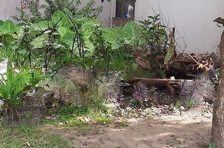 Chính Chủ, 100M2 Đất Mặt Ngõ 318 Ngọc Trì, Thạch Bàn, Ô Tô Tránh, Mặt Tiền 5M, Kinh Doanh, Làm Xưởng, 3.1 Tỷ
