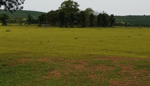 Đất Vườn Bình Thuận Giá Chỉ 60.000Vnd/1M2