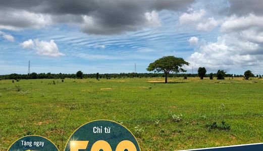 Đất Vườn Bình Thuận Giá Chỉ 60.000Vnd/1M2