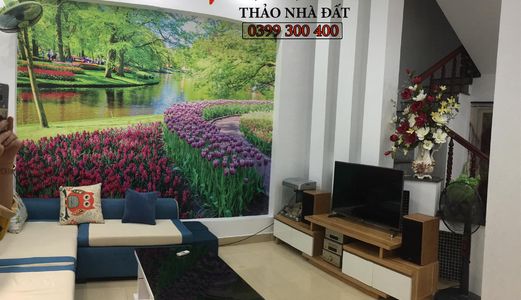 Bán Nhà Xây Độc Lập Đường Thiên Lôi