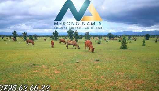 Bán Đất Bình Thuận Gần Sân Bay,cao Tốc Và Các Khu Du Lịch Giá Chỉ Từ 60.000Đ/m2!!!