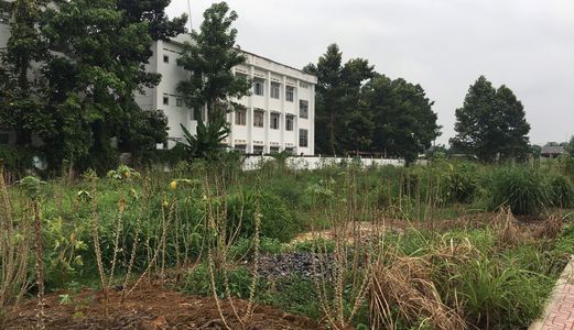 Đất Hot Full Thổ Cư, Ngay Trung Tâm Khu Dân Cư, Sổ Riêng 