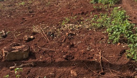 Bán 3 Sào Đất Thổ Cư Buôn Ta Ra. Giá 1 Tỷ 950Tr. Lh 0945 954 338