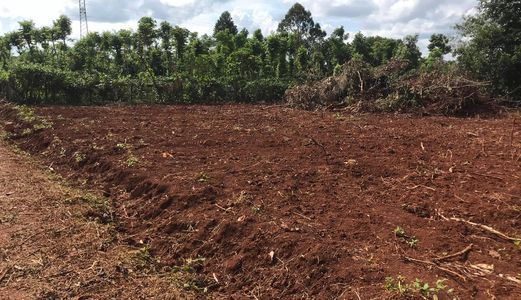 Bán 3 Sào Đất Thổ Cư Buôn Ta Ra. Giá 1 Tỷ 950Tr. Lh 0945 954 338