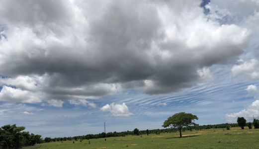 Đất Vườn Hồng Thái Vị Trí Cực Kì Đắc Địa, Tiềm Năng Phát Triển Mạnh.