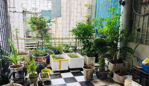 Bán Nhà Hồng Mai, 38M2X5T, Mt3.5M, 2.75 Tỷ, Tt Hai Bà