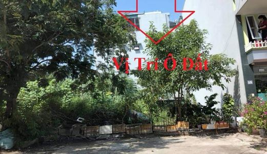  Bán Lô D-10 Kđt Ao Cá,bò Sinh.p.cao Thắng.dt:75M2,mt:5M.h:đông Nam