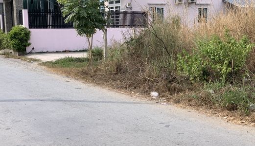 Bán Gấp Đất Thổ Cư 1000 M2 Bùi Văn Sự Bình Chánh