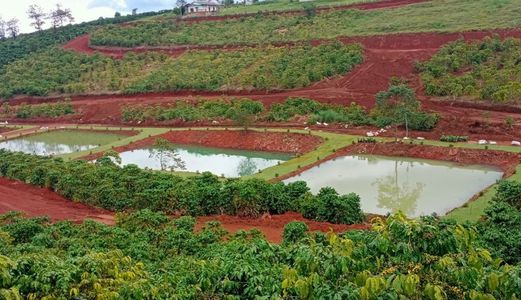 Cần Bán Lô Đất Mặt Tiền Đường Lý Thái Tổ Full 100% Thổ Cư Giá Chỉ 739Tr Lh 0902770110 Gặp Hoa