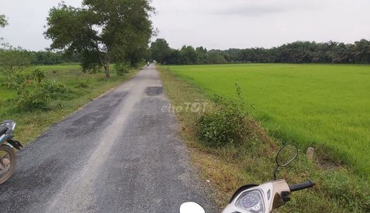 Đất Vườn 1178M2 (15X80M) Phước Vĩnh An.củ Chi