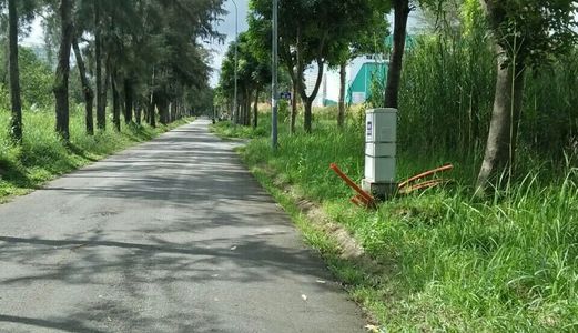 Bán Gấp Đất Nền Đường Vành Đai Trong Kdc Greenlife 13C