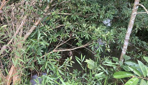 Bán Đất View Đẹp Có Thác, Suối Bao Quanh, Có Hồ, Thích Hợp Đầu Tư, Kinh Doanh Homestay, Nghỉ Dưỡng
