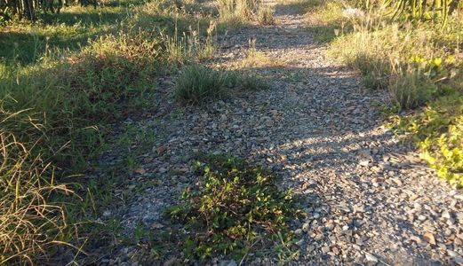 Bán Lô Đất Hai Mặt Tiền 2044M2 Tại Hàm Mỹ, Tp. Phan Thiết