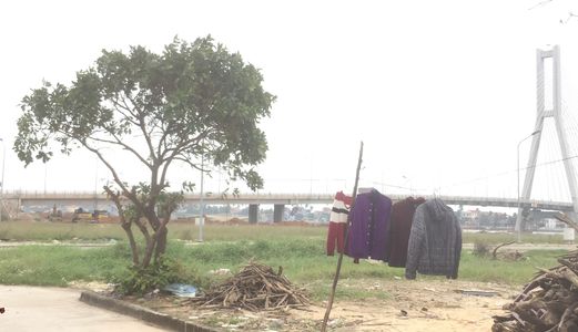 Bán Lô Đất Mặt Tiền Trần Văn Phương Diện Tích 146M2 Giá Mềm 