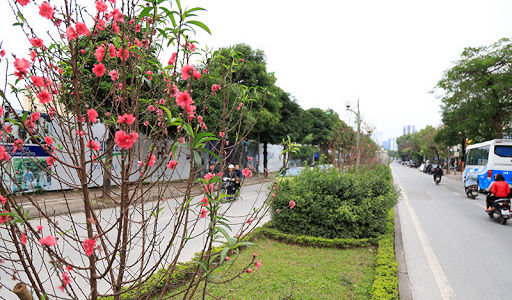 Đất Phường Nhật Tân, Gần Mặt Phố Lạc Long Quân 45M2, Mặt Tiền 6M, 5 Tỷ7.