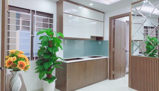 Tết Đến Xuân Về Mua Nhà Có Xe Ga Tại Chung Cư Mini Xuân Đỉnh Ở Ngay, Full Đồ