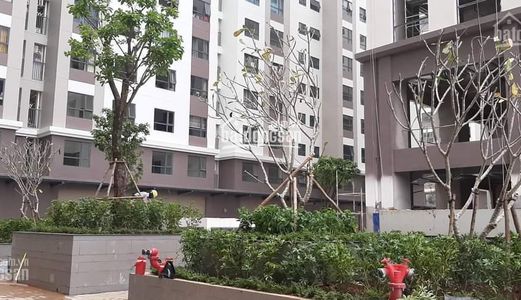 Mình Cần Cho Thuê Chung Cư 2Pn Nội Thất Cơ Bản Green River Q8 