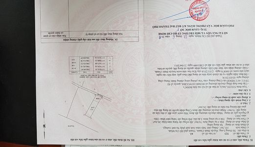 Đường (Hương Lộ 11) Đoàn Nguyễn Tuấn, Xã Hưng Long, Huyện Bình Chánh, Tp. Hcm.