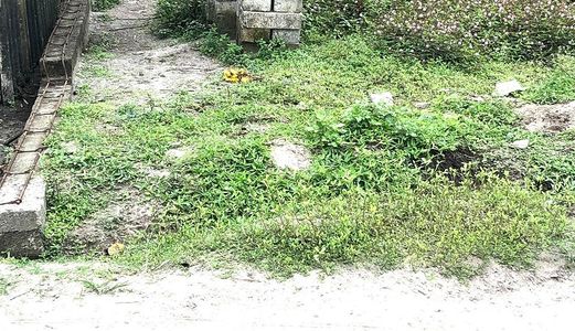 Bán Đất Thủy Xuân Phú Vang 695 Triệu