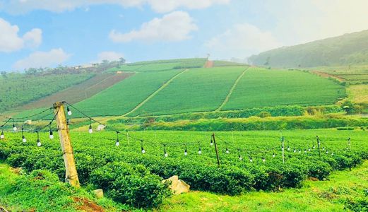 Bạn Sẽ Hối Hận Nếu Mua Đất Bảo Lộc Mà Không Xem Qua Dự Án Này