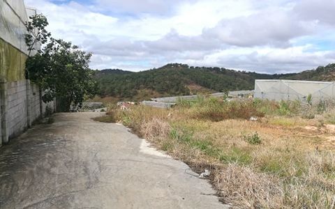 Đất Nền Giá Rẻ Khu Dân Cư Tp. Đà Lạt