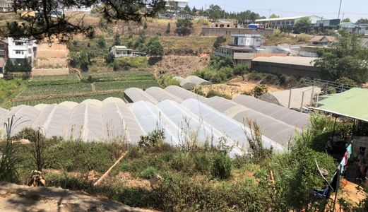 Bán Lô Đất 257M Có View Tiện Kinh Doanh Café Lưu Trú Tại Đường Nguyễn Hữu Cảnh, P8, Đà Lạt