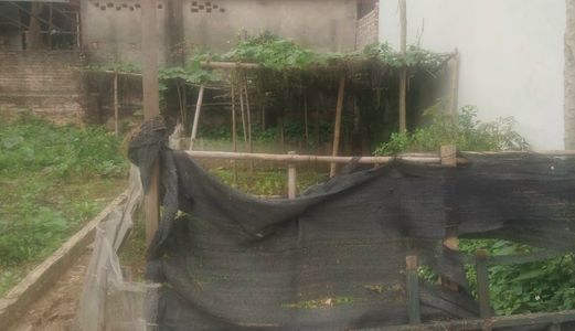 Chính Chủ Cần Tiền Gấp Nên Bán Lô Đất Thổ Cư Xã An Thượng, Hoài Đức, Hà Nội