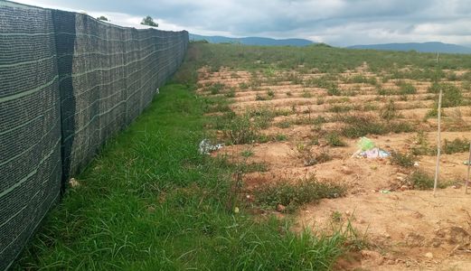 Chính Chủ Cần Bán 6500M2 Đất Nông Nghiệp Trồng Lagim Tại Xã Kađơn - Đơn Dương - Lâm Đồng