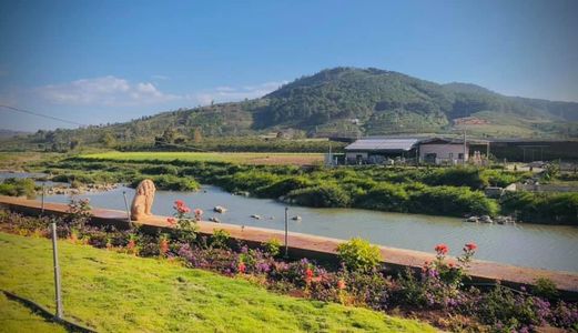 Mở Block Lô Đất Với Giá Siêu Hat Rẻ Cho Cả Nhà Nhanh Tay Nhanh Chân Bắt Ngay Lấy Cơ Hội Vàng 