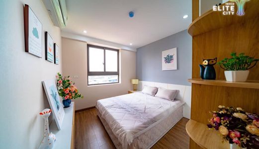 Chỉ 780 Triệu – Sở Hữu Căn Hộ Tại Tecco Elite City, Chiết Khấu Lên Đến 100Tr