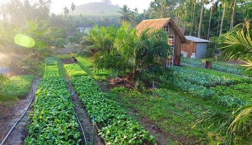 Bán Đất Bình Long Giá Rẻ, Đông Dân Cư, Gần Kcn, 1000M2, 2000M2