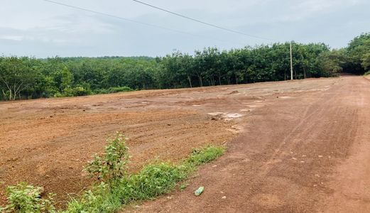 Còn Lô Đất Đẹp Giá Tốt Chỉ 539Tr Sở Hưu Ngay Dt 1000M2 Ngay Kcn Đồng Phú