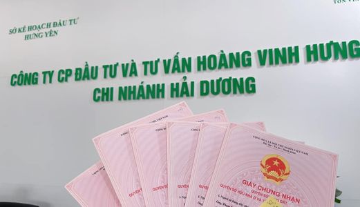 Đất Phân Lô Giá Rẻ Chỉ Từ 550Tr/lô