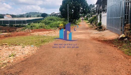 Bán Đất Đường Măng Line - P7 - Tp. Đà Lạt. Diện Tích: 219.39M² (10*21.55)