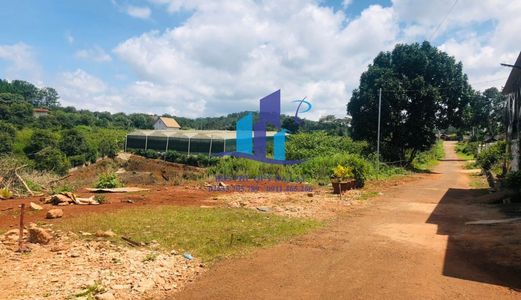 Bán Đất Đường Măng Line - P7 - Tp. Đà Lạt. Diện Tích: 219.39M² (10*21.55)