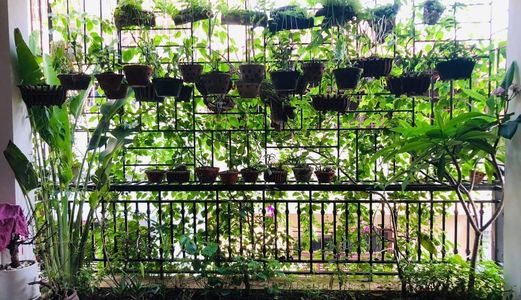 Nhà Nội Thất Sang Trọng,ô Tô, Trần Quốc Hoàn,cầu Giấy, Dt 45X5 Tầng,mt 4M