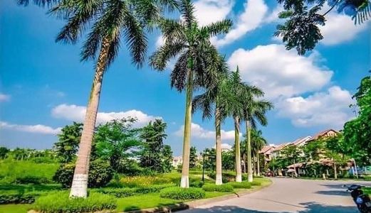 Bán Đất Ngọc Trì Vuông Như Phân Lô, S90M, Mặt Tiền 6.6 Vị Trí Đẹp Chỉ 3 Tỷ Lh 0914828909